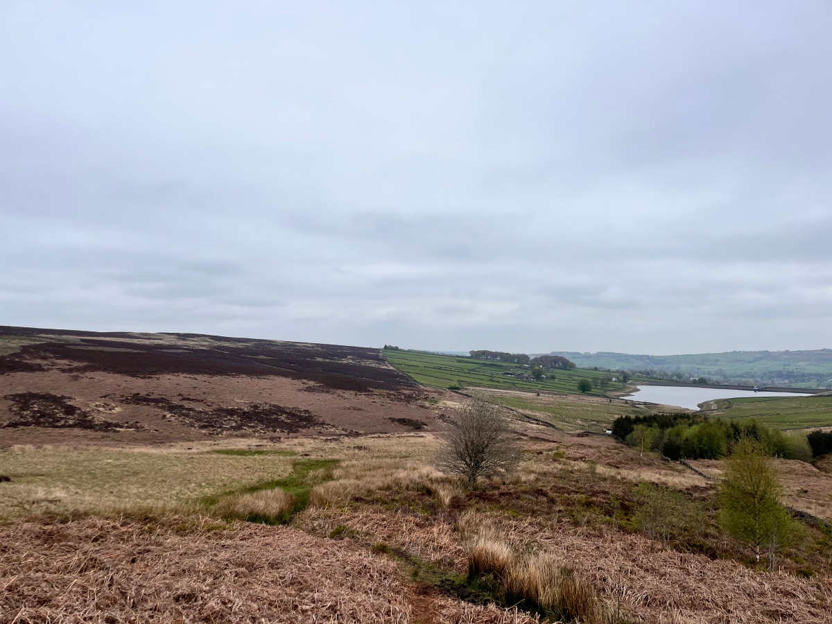 Two Englands; or, Thoughts from a Yorkshire Moor Walk
